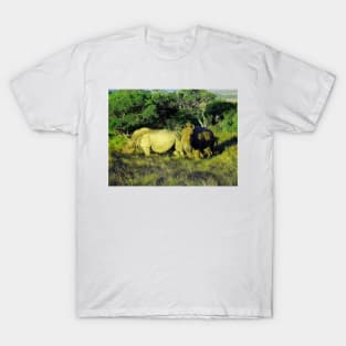 African Wildlife Photography Rhinoceros Couple T-Shirt